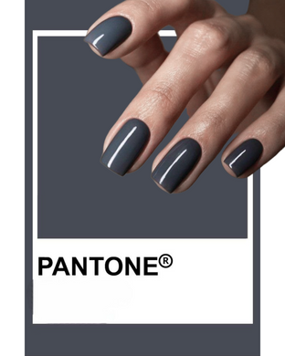 Gel Polish LOYA 380 Foggy Graphite 10 ml