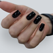 LOYA Test Drive Trial Kit 3-in-1: Base, Color, Top Coat System